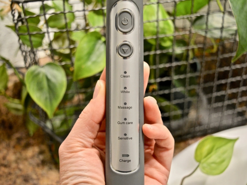 Một chiếc bàn chải điện tốt cho người viêm nướu cần có nhiều chế độ chải